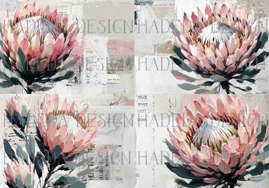 Protea A0 Sized Digital Designs for Sublimation, Canvas, Scrapbooking Paper, Journaling, Mixed Media