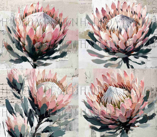 Protea Skinny Tumbler Digital Designs for Sublimation, Canvas, Scrapbooking Paper, Journaling, Mixed Media